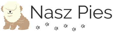 Naszpies.com.pl